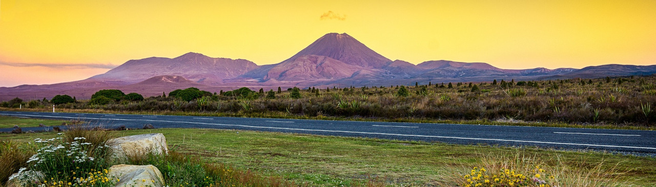 Blick auf den Tongariro mit Straße im Vordergrund